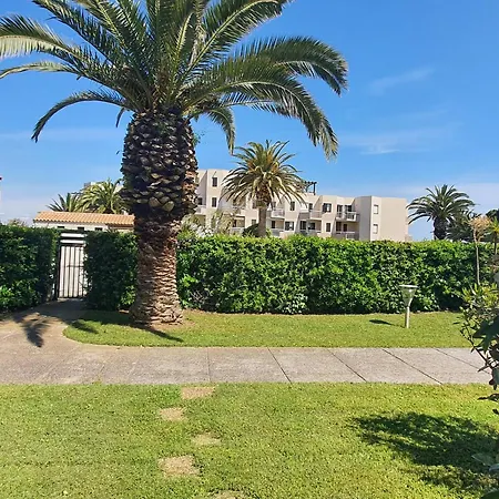 Rdc Avec Terrasse, Piscine & Acces - St Cyprien, 4 Couchages - Fr-1-753-27 圣西普里安